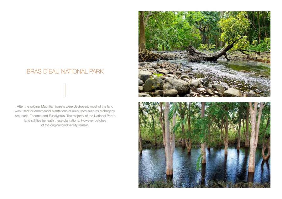 Island Guide — page 26