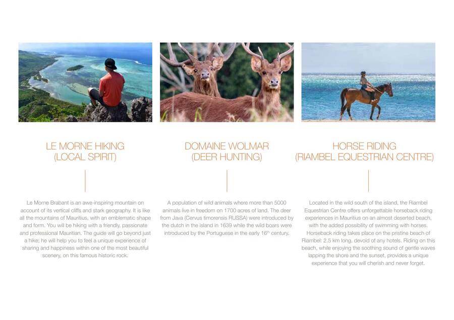 Island Guide — page 34