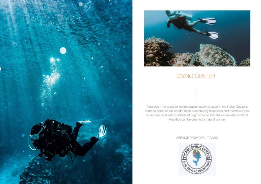Island Guide — page 35